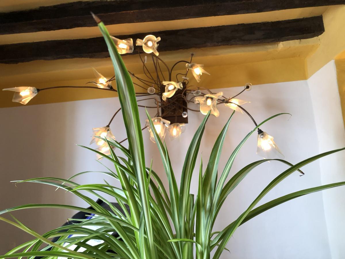 La Fructuosa Hotel เกาซิน ภายนอก รูปภาพ